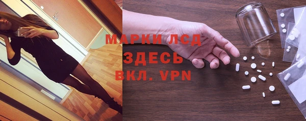 дживик Няндома