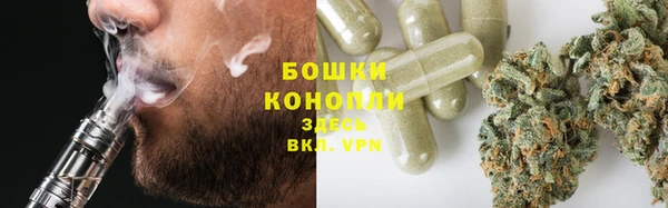 прущие грибы Нягань