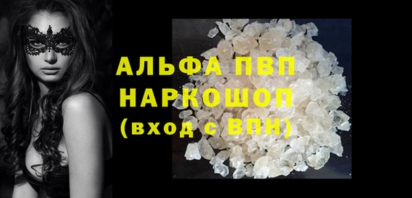 прущие грибы Нягань