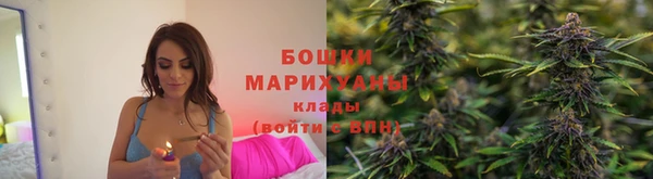 дживик Няндома