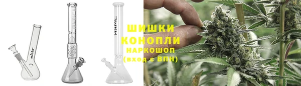 прущие грибы Нягань
