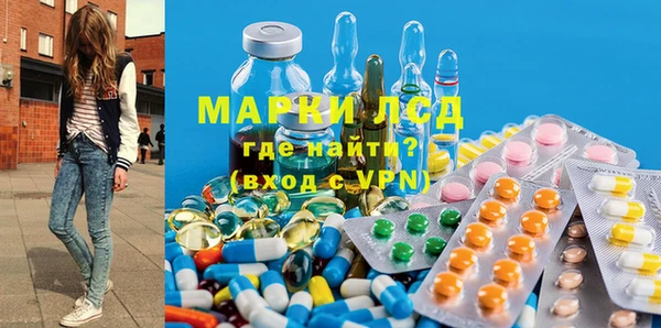 дживик Няндома