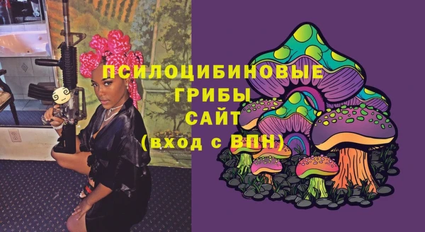 дживик Няндома