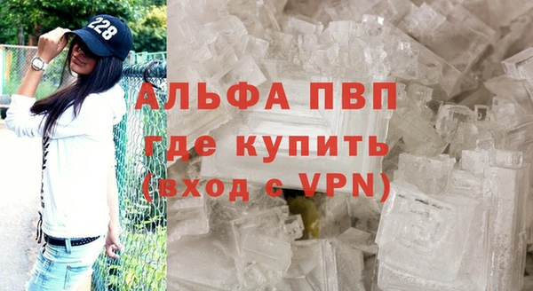 прущие грибы Нягань