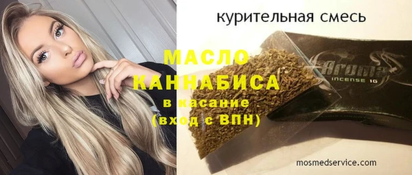 дживик Няндома