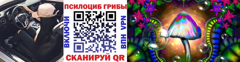 blacksprut рабочий сайт  дарнет шоп  Кувшиново  Галлюциногенные грибы Psilocybe 