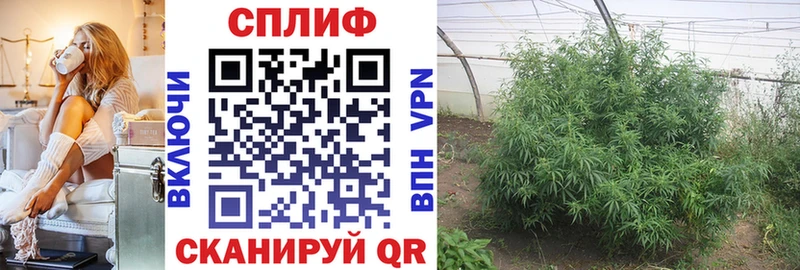 OMG ТОР  где купить наркоту  Кувшиново  Канабис сатива 
